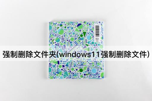 强制删除文件夹(windows11强制删除文件)