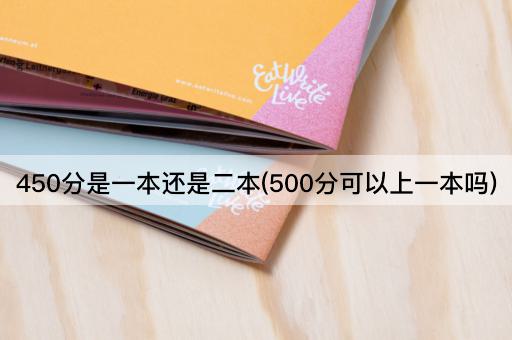 450分是一本还是二本(500分可以上一本吗)