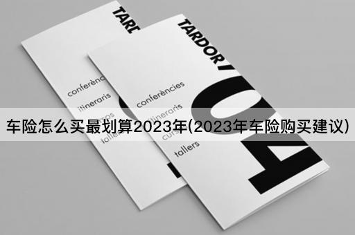 车险怎么买最划算2023年(2023年车险购买建议)