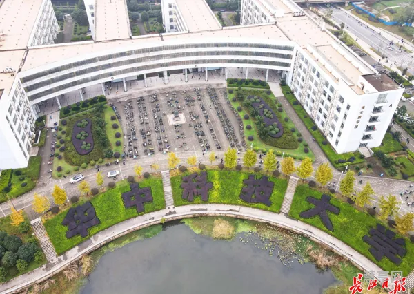武汉华中科技大学附近新楼盘(中建东湖之星值不值得买)