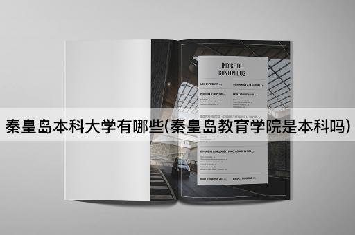 秦皇岛本科大学有哪些(秦皇岛教育学院是本科吗)