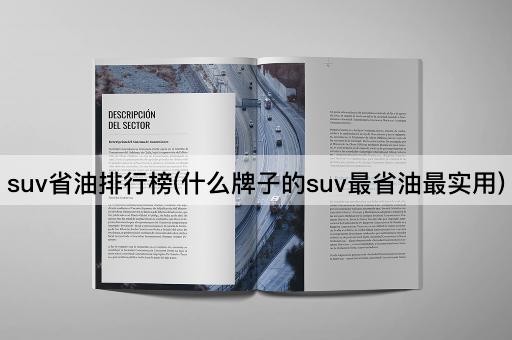 suv省油排行榜(什么牌子的suv最省油最实用)