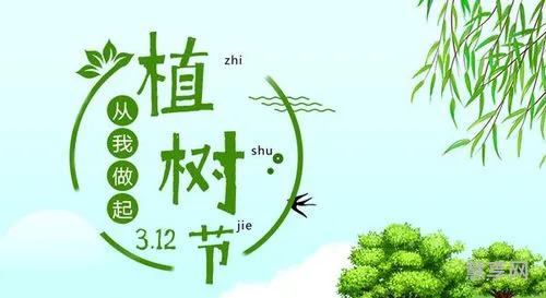 小学生植树节标语(小学生关于植物的海报)