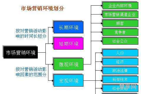 市场营销属于什么类(市场营销专业考公务员有哪些职位)