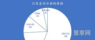 空气污染原因(大气污染形成的主要原因)