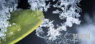 小雪节气的天气特点(二十四节气表)