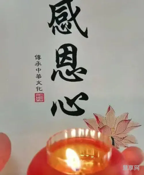 静心宽心修心的句子(静心养心的经典语句)