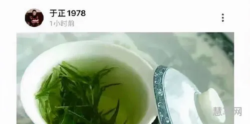 绿茶女的意思(绿茶是指什么样的女生)