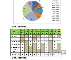 人力资源年终总结(年度人力分析报告)