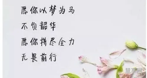 以梦为马不负韶华(心中有光,脚下有路,梦想终将绽放)