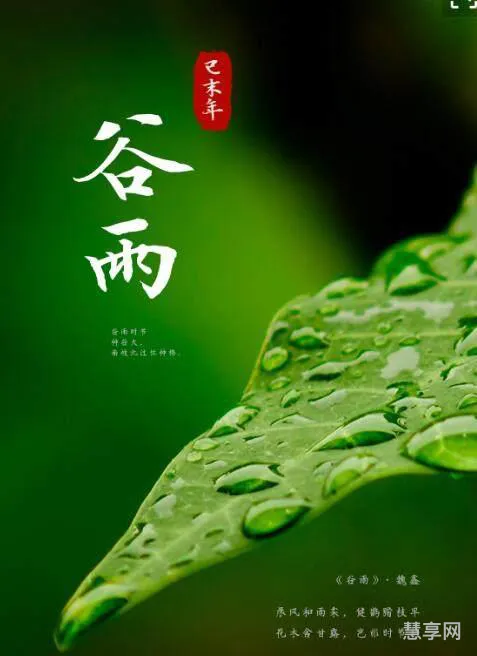 谷雨节气的含义是什么(二十四节气表)