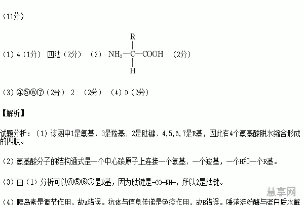 atp是什么的简单介绍(什么叫ATP)