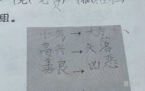 缺陷的反义词(金字的反义词是啥)