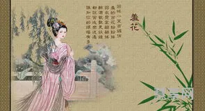 闭月羞花沉鱼落雁(沉鱼落雁一连串夸人语句)