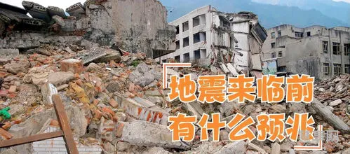 地震前兆有哪些(唐山地震冥界准备了50年)