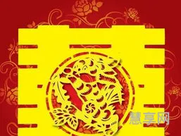 2011年是什么生肖年(2011年是虎年还是兔年)