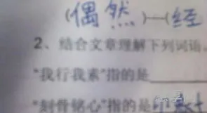 我行我素什么意思(我行我素是什么样的人)