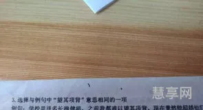 望其项背近义词(望其项背比喻赶不上)