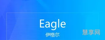 eagle是什么意思(eagle隐含意义)