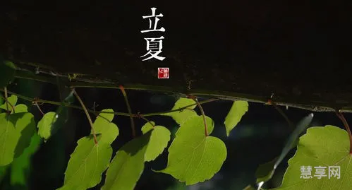 立夏节的简单介绍(国际儿童节的来历简介)