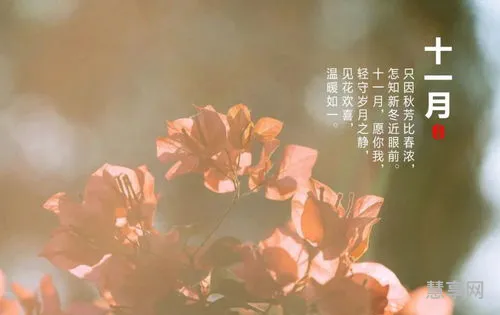 十一月的文案短句(11月祝福语简短)