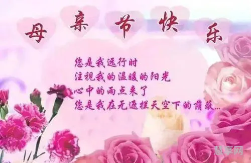 母亲节祝福语简短语句(母亲节暖心短句八个字)