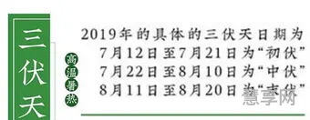 2019三伏天时间表(三伏天时间表怎么计算)