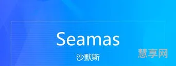 sea什么意思(SEA代表的是什么)