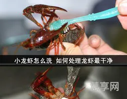 小龙虾怎么清洗和处理(龙虾怎么做好吃又简单视频)