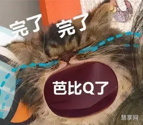 完了芭比Q了是什么意思(完了8BQ了)