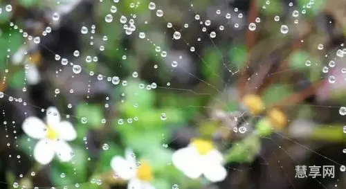 关于雨的散文(余光中《听听那冷雨》原文)