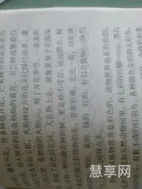 彩虹像什么比喻句(彩虹像什么 一年级)