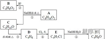 有机化合物的结构特点(大学有机化学笔记整理)