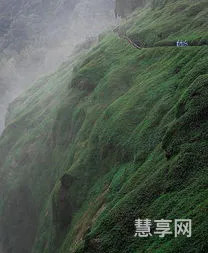 你是我的风景(世间最美的风景是你遇见所爱的人)