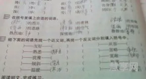 挥霍最多的成语(形容挥霍无度的成语)