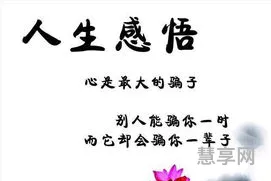 感悟人生的经典句子(人生感悟 :致自己 !(精辟))