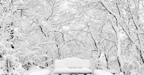 欣赏雪景的句子(配雪景的唯美短句)