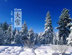 大雪节气吃什么?(大雪必吃的八种食物)