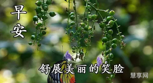 早上好问候语温馨短句(100句高情商早安问候)