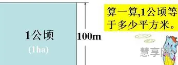 公顷和亩的换算(国家标准一亩地多少钱)