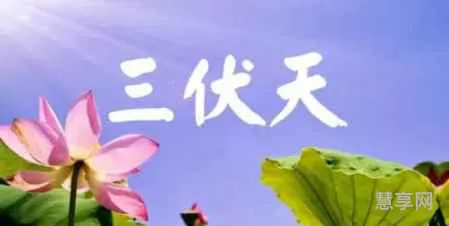 三伏天什么意思(三伏天的寓意和象征)