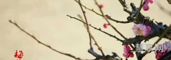 梅花三弄是什么意思(梅花三弄解释)