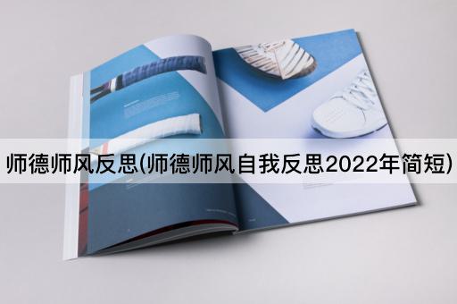 师德师风反思(师德师风自我反思2022年简短)