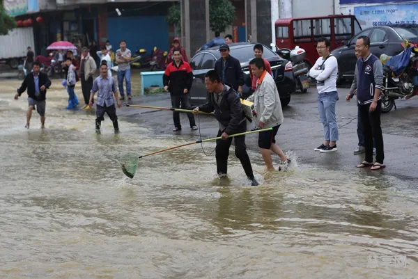 湖南大暴雨新闻(湖南最近发生了什么大事新)