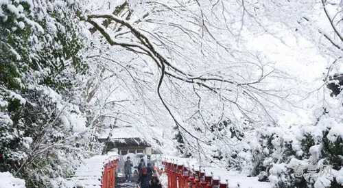 下雪了发朋友圈(拉开窗帘下雪了说说)