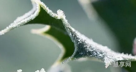 霜降节气的含义是什么意思(霜降节气的含义和理解)