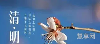 清明节应该怎么问候(清明节怎么打招呼)