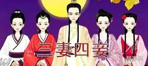 三妻四妾是什么生肖(三妻四妾猜一正确数字)