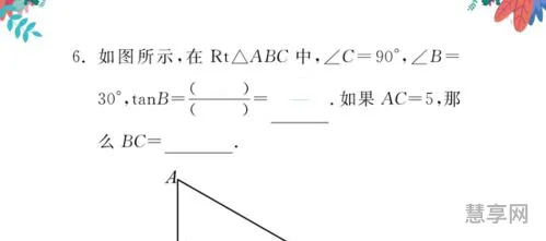 解直角三角形(解直角三角形思维导图九上)