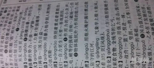 强的多音字组词(强的3个读音并组词)